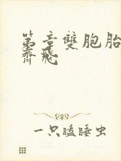 第章双胞胎姐妹齐飞