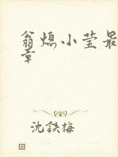 翁熄小莹最新节章