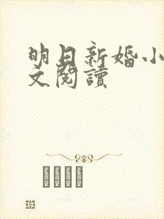 明日新婚小说全文阅读