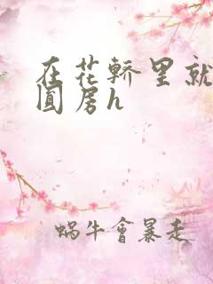 在花轿里就开始圆房h