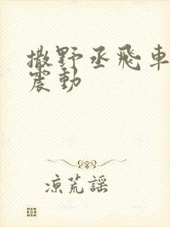 撒野丞飞车道具震动