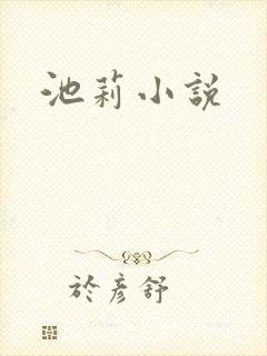 池莉小说