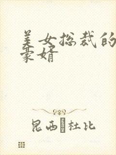 美女总裁的顶级豪婿