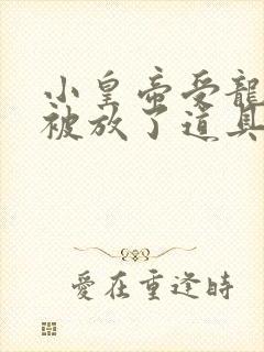 小皇帝受龙椅上被放了道具