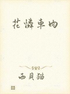 花怜车肉