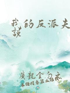 我的反派夫君小说