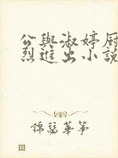 公与淑婷厨房猛烈进出小说