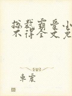 总裁霸爱小妻惹不得全文免费阅读