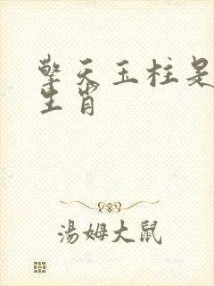 擎天玉柱是什么生肖