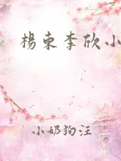 杨东李欣小说