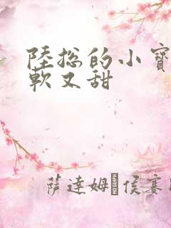 陆总的小宝贝又软又甜