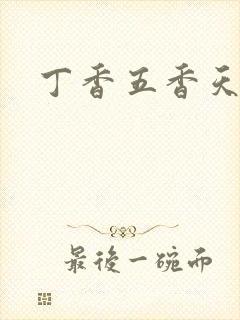 丁香五香天麻豆