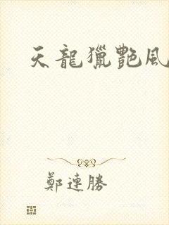 天龙猎艳风流
