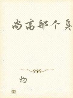 尚高那个臭小子