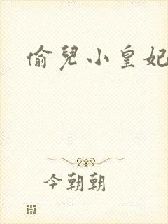 偷儿小皇妃