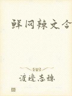 鲜网辣文合集