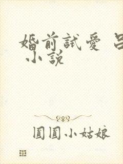 婚前试爱 吕颜 小说
