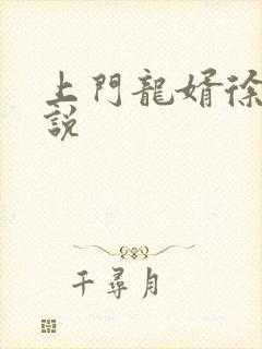 上门龙婿徐阳小说