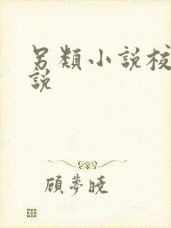 另类小说校园小说