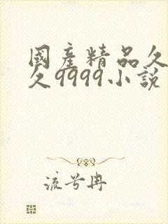 国产精品久久久久9999小说