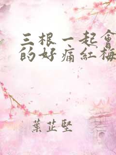 三根一起会坏掉的好痛红梅