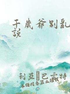 千岁爷别乱来小说