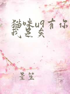 猫咪u9有你有我足矣