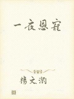 一夜恩宠