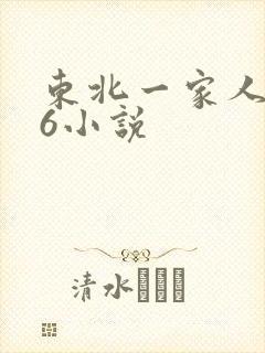 东北一家人1一6小说