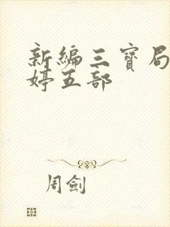 新编三宝局长许婷五部