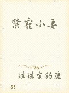 禁宠小妻