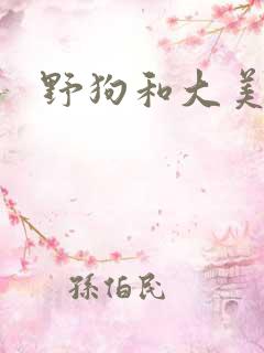 野狗和大美人