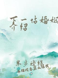 下一站婚姻剧情介绍