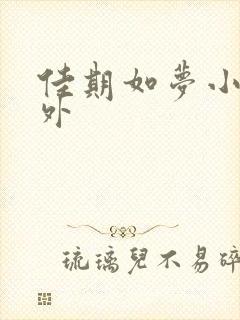 佳期如梦小说番外