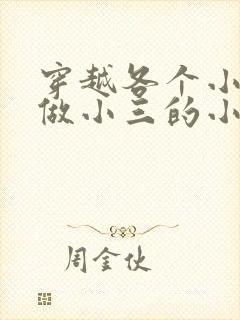 穿越各个小世界做小三的小说