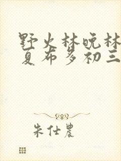 野火林晚林潮生夏布多初三边缘