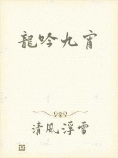 龙吟九宵