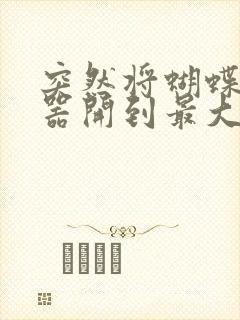 突然将蝴蝶遥控器开到最大