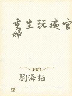 重生玩遍官场贵妇