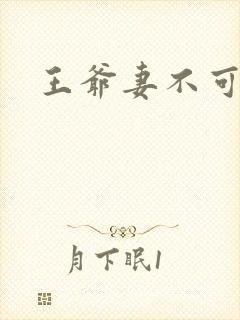 王爷妻不可欺