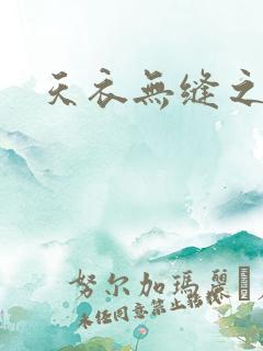 天衣无缝之极限