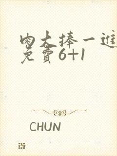 肉大捧一进一出免费6+1