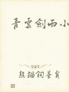 青云剑雨小说