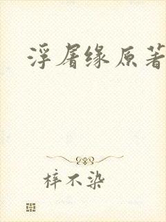 浮屠缘原著小说