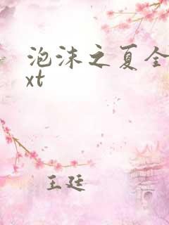 泡沫之夏全集txt