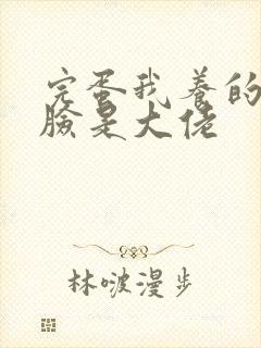 完蛋我养的小白脸是大佬