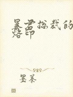 暴君总裁的狂烈烙印