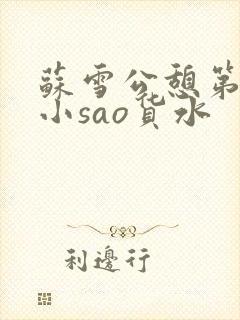 苏雪公憩第一章小sao货水