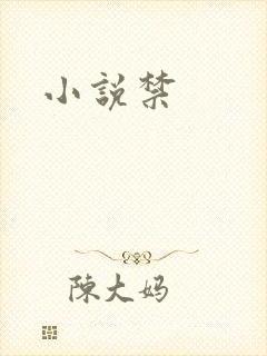 小说禁
