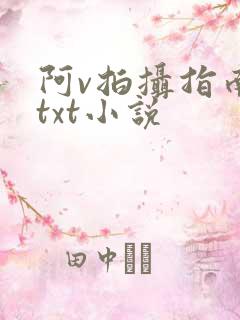 阿v拍摄指南说txt小说